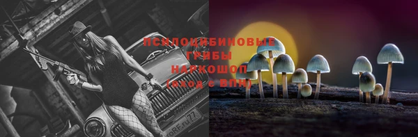 mix Алексин