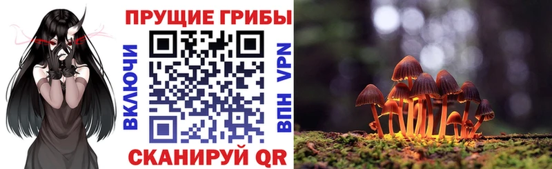 где продают наркотики  Кольчугино  Псилоцибиновые грибы MAGIC MUSHROOMS 